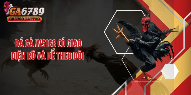 Đá gà WS168 có giao diện rõ và dễ theo dõi