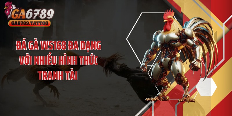 Đá gà WS168 đa dạng với nhiều hình thức tranh tài