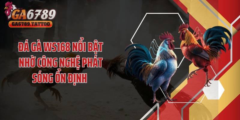 Đá gà WS168 nổi bật nhờ công nghệ phát sóng ổn định